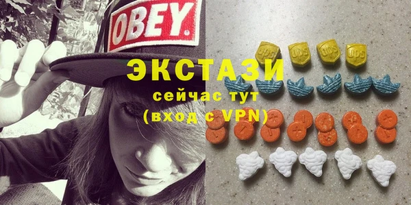 ПСИЛОЦИБИНОВЫЕ ГРИБЫ Богданович