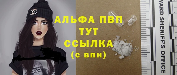 ПСИЛОЦИБИНОВЫЕ ГРИБЫ Богданович
