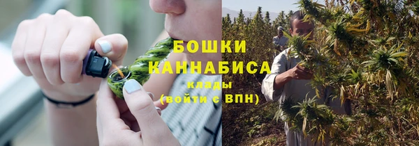 ПСИЛОЦИБИНОВЫЕ ГРИБЫ Верхнеуральск