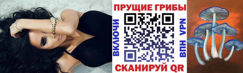 Галлюциногенные грибы прущие грибы  хочу наркоту  Городовиковск 